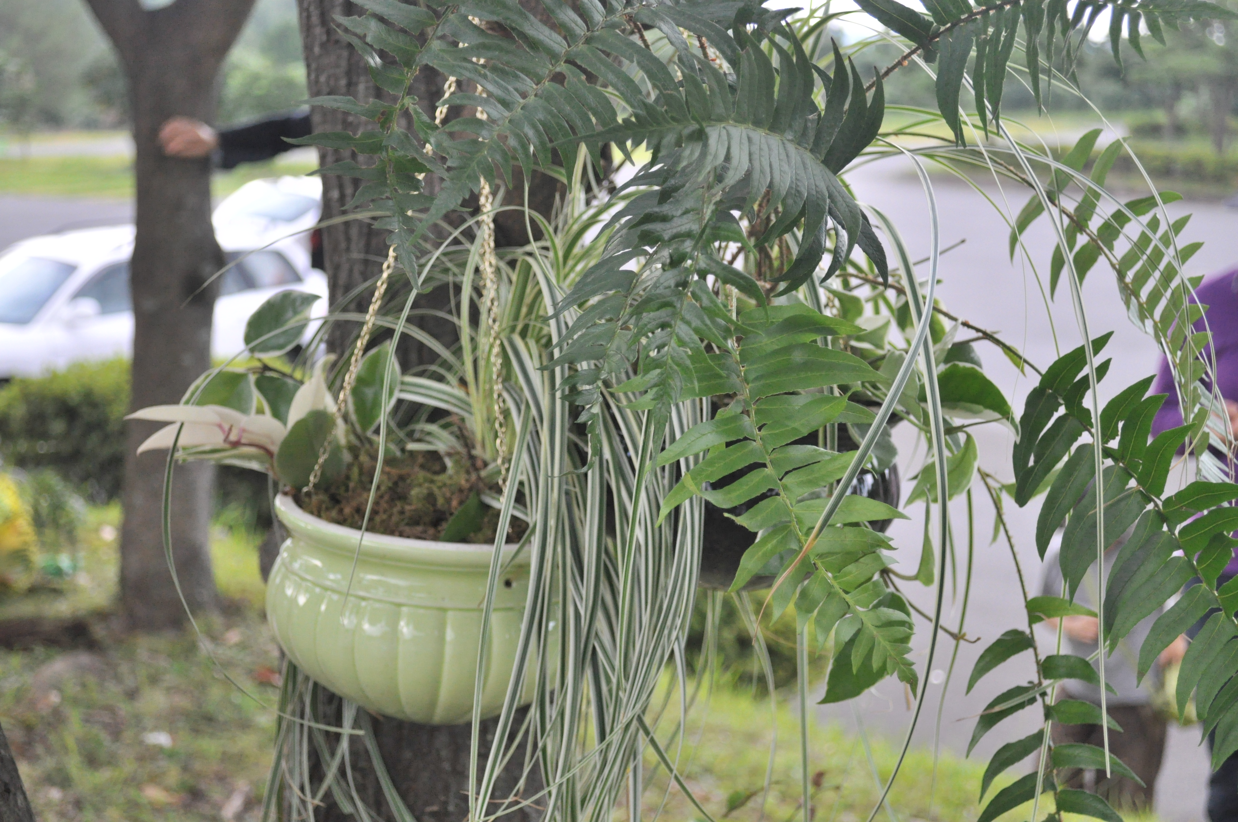 도시생활농업 활성화 생활원예 교육(2차수,2011.9.15)